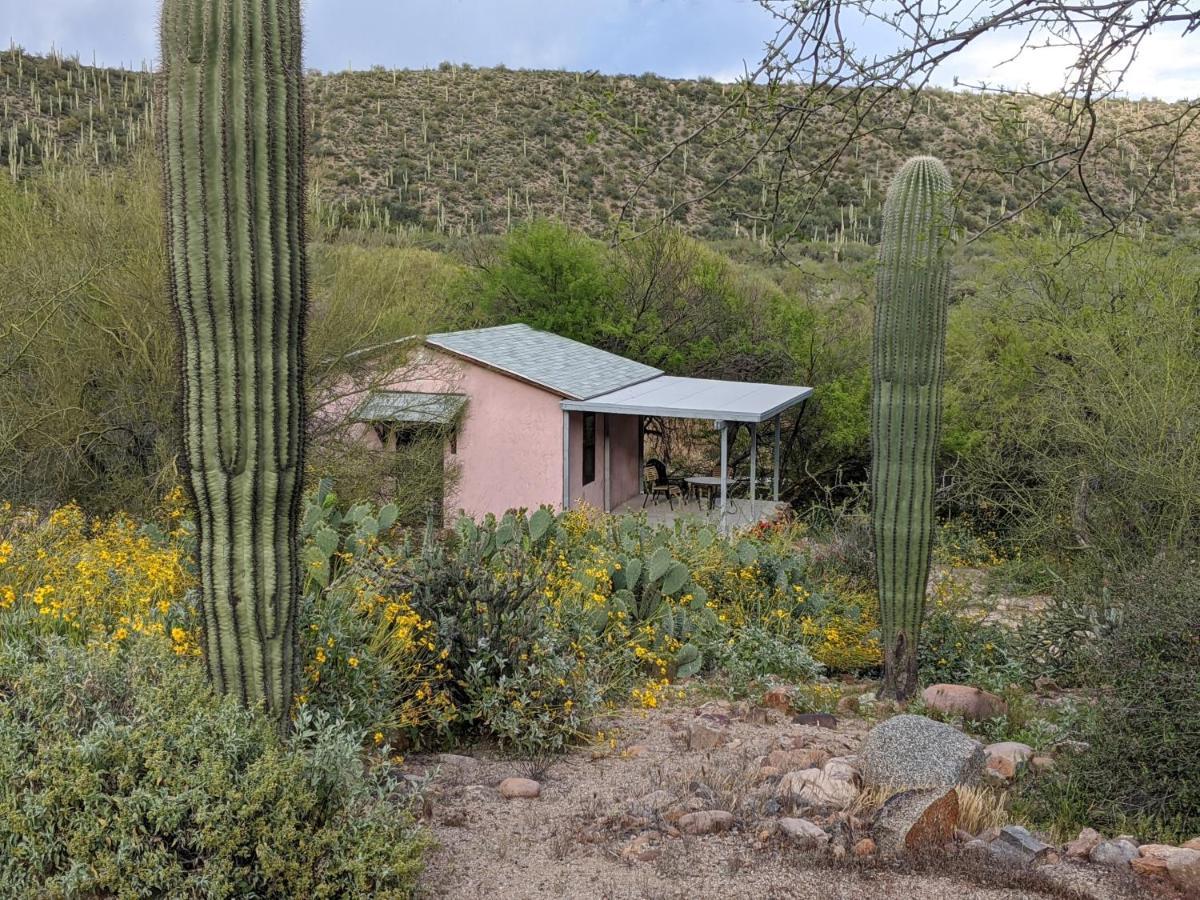 Saguaro Lake Ranch Fountain Hills Zewnętrze zdjęcie